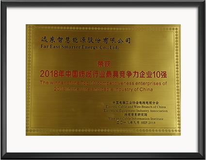 最具競爭力企業(yè)10強