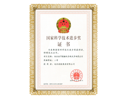 國家科學(xué)進(jìn)步獎(jiǎng)